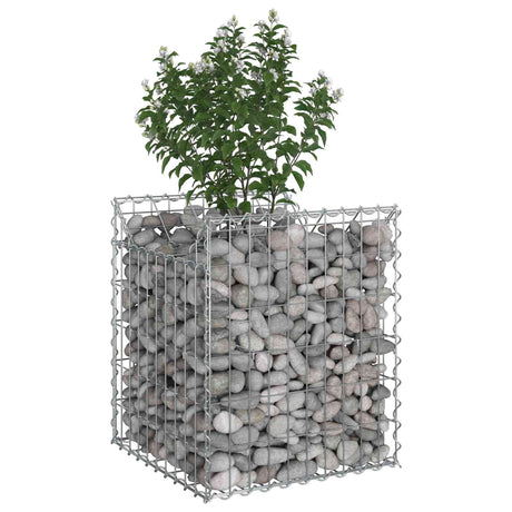Vidaxl gabion verhoogd bed 50 x 50 x 60 cm gegalvaniseerd staal zilver