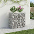 Vidaxl gabion verhoogd bed 50 x 100 x 100 cm gegalvaniseerd staal