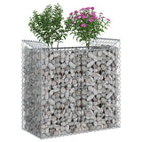 Vidaxl gabion verhoogd bed 50 x 100 x 100 cm gegalvaniseerd staal