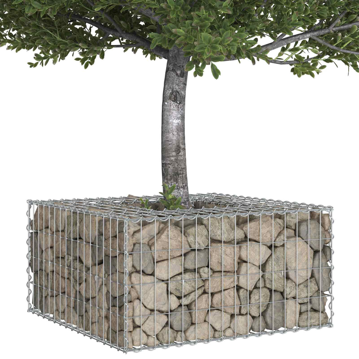 Vidaxl gabion verhoogd bed 80 x 80 x 40 cm gegalvaniseerd staal zilver