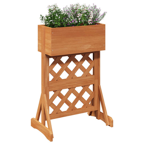 Vidaxl verticale tuin trellis oranje 48 x 30 x 70,5 cm