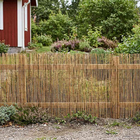 Vidaxl tuinhek geë carboniseerd 600 x 100 cm riet