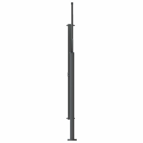 Vidaxl uittrekbaar zijscherm 160 x 300 cm 100% polyester ijzer staal