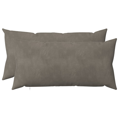 Vidaxl kussensloop 2 pcs heerlen lichtgrijs 40 x 70 cm fluweel