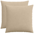 Vidaxl kussensloop 2 pcs heerlen taupe 55 x 55 cm corduroy