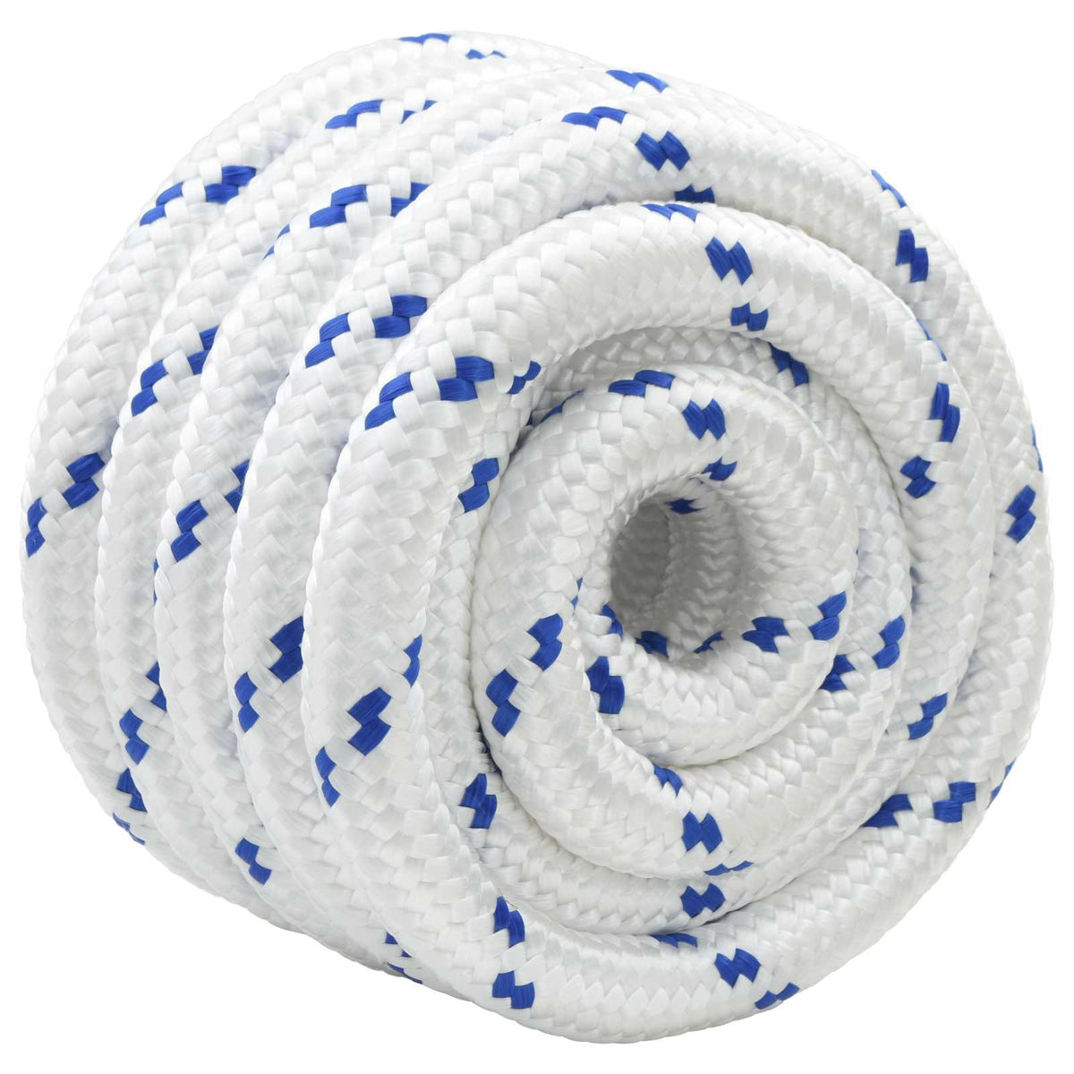 Vidaxl boottouw 5 mm 10 m wit en blauw