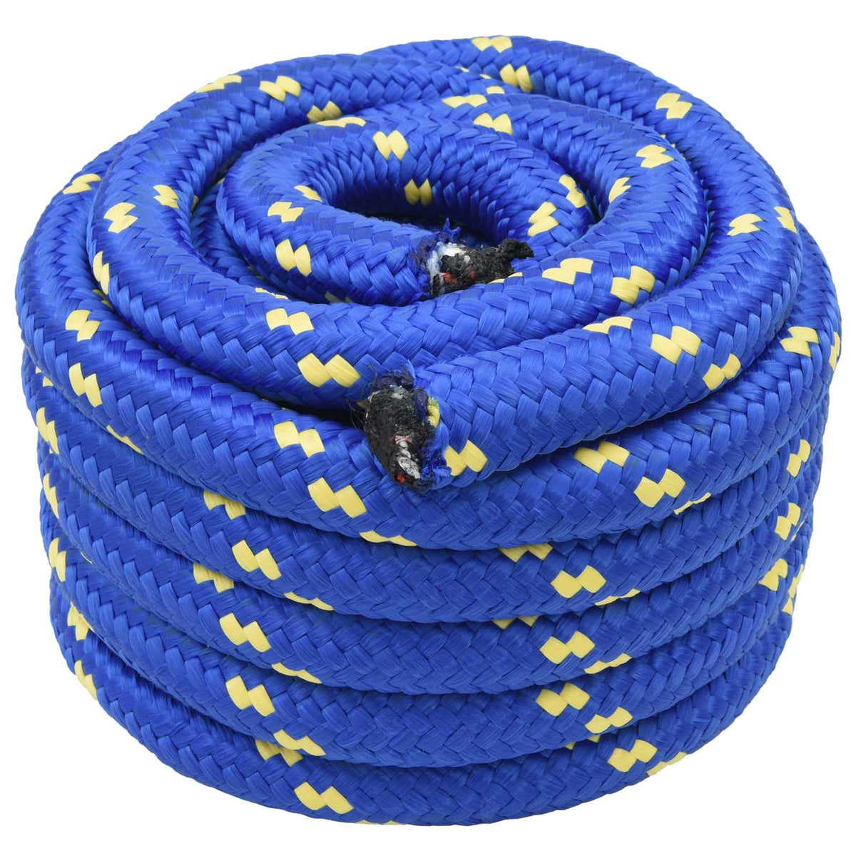 Vidaxl boottouw 5 mm 10 m blauw