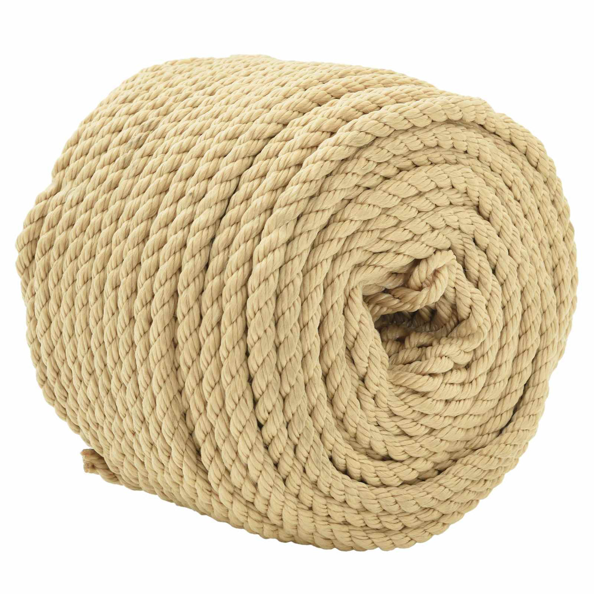 Vidaxl boottouw 8 mm 250 m naturel