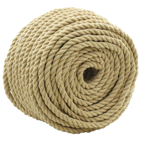 Vidaxl boottouw 12 mm 250 m naturel