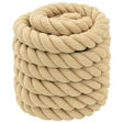 Vidaxl boottouw 6 mm 10 m naturel