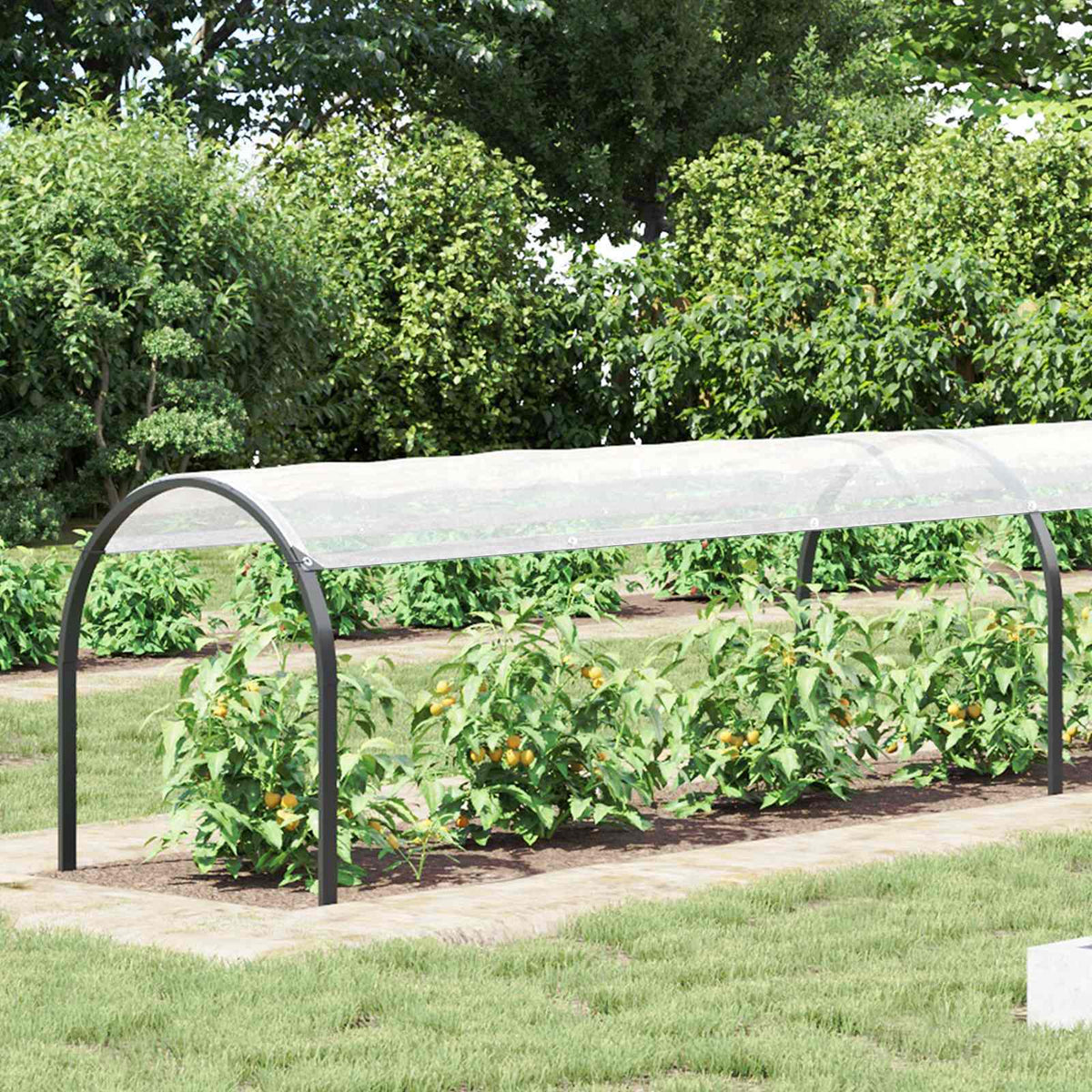 Vidaxl plantenhoes transparant 1 x 12 m pe