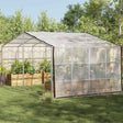 Vidaxl plantenhoes doorzichtig 4 x 8 m pe
