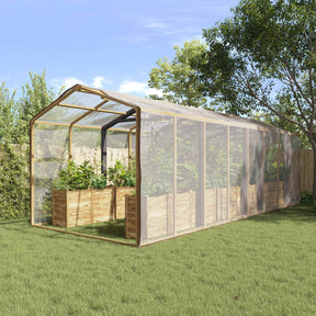 Vidaxl plantenhoes doorzichtig 6 x 12 m pe