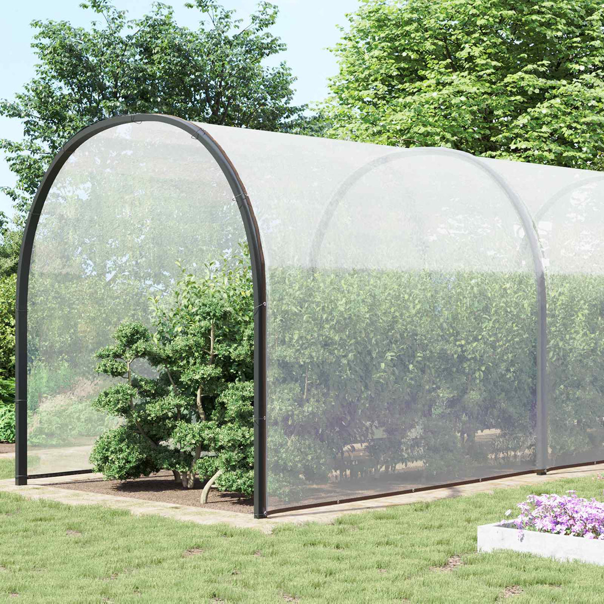 Vidaxl plantenhoes doorzichtig 10 x 12 m pe