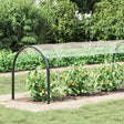 Vidaxl plantenhoes 1,5 x 20 m pvc transparant