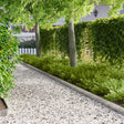 Vidaxl gazonrand 10 st 103 x 15 cm staal zilver