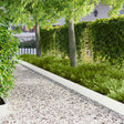 Vidaxl gazonrand 30 st 103 x 20 cm staal wit