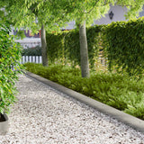 Vidaxl gazonrand 30 st 103 x 20 cm staal zilver