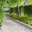 Vidaxl gazonrand 10 st 103 x 25 cm staal zilver