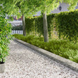 Vidaxl gazonrand 30 st 103 x 25 cm staal zilver