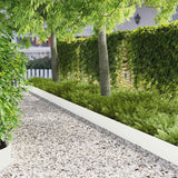Vidaxl gazonrand 20 st 103 x 20 cm staal wit