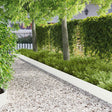 Vidaxl gazonrand 30 st 103 x 20 cm staal wit