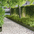 Vidaxl gazonrand 20 st 103 x 20 cm staal olijfgroen