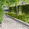 Vidaxl gazonrand 20 st 103 x 25 cm staal zilver
