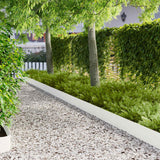Vidaxl gazonrand 30 st 103 x 20 cm staal wit