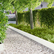 Vidaxl gazonrand 20 st 103 x 25 cm staal wit