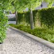 Vidaxl gazonrand 20 st 103 x 25 cm staal zilver