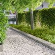 Vidaxl gazonrand 10 st 103 x 25 cm staal zilver