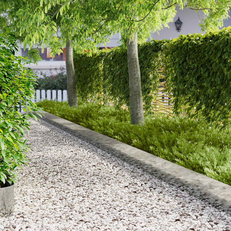 Vidaxl gazonrand 10 st 103 x 25 cm staal zilver