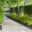 Vidaxl gazonrand 10 st 100 x 12 cm staal antracietkleurig