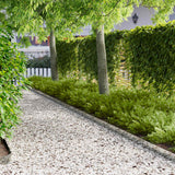Vidaxl gazonrand 10 st 100 x 12 cm staal zilverkleurig