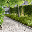 Vidaxl gazonrand 30 st 100 x 12 cm staal zilverkleurig