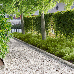 Vidaxl gazonrand 20 st 100 x 15 cm staal zilverkleurig
