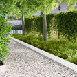 Vidaxl gazonrand 10 st 100 x 20 cm staal wit