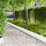 Vidaxl gazonrand 30 st 100 x 25 cm staal wit