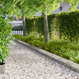 Vidaxl gazonrand 10 st 100 x 25 cm staal zilverkleurig