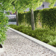 Vidaxl gazonrand 10 st 103 x 20 cm staal wit
