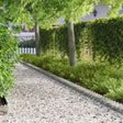 Vidaxl gazonrand 10 st 103 x 20 cm staal zilverkleurig