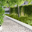 Vidaxl gazonrand 10 st 103 x 25 cm staal wit