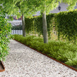 Vidaxl gazonrand 20 st 102 x 4 x 4 cm staal roestig