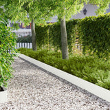 Vidaxl gazonrand 30 st 102 x 15 x 4 cm staal wit