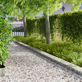Vidaxl gazonrand 20 st 102 x 15 x 4 cm staal zilverkleurig