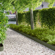 Vidaxl gazonrand 50 st 100 x 12 cm staal olijfgroen