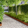 Vidaxl gazonrand 50 st 100 x 12 cm staal roestkleurig