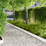 Vidaxl gazonrand 30 st 100 x 15 cm staal wit