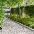 Vidaxl gazonrand 20 st 100 x 15 cm staal zilver